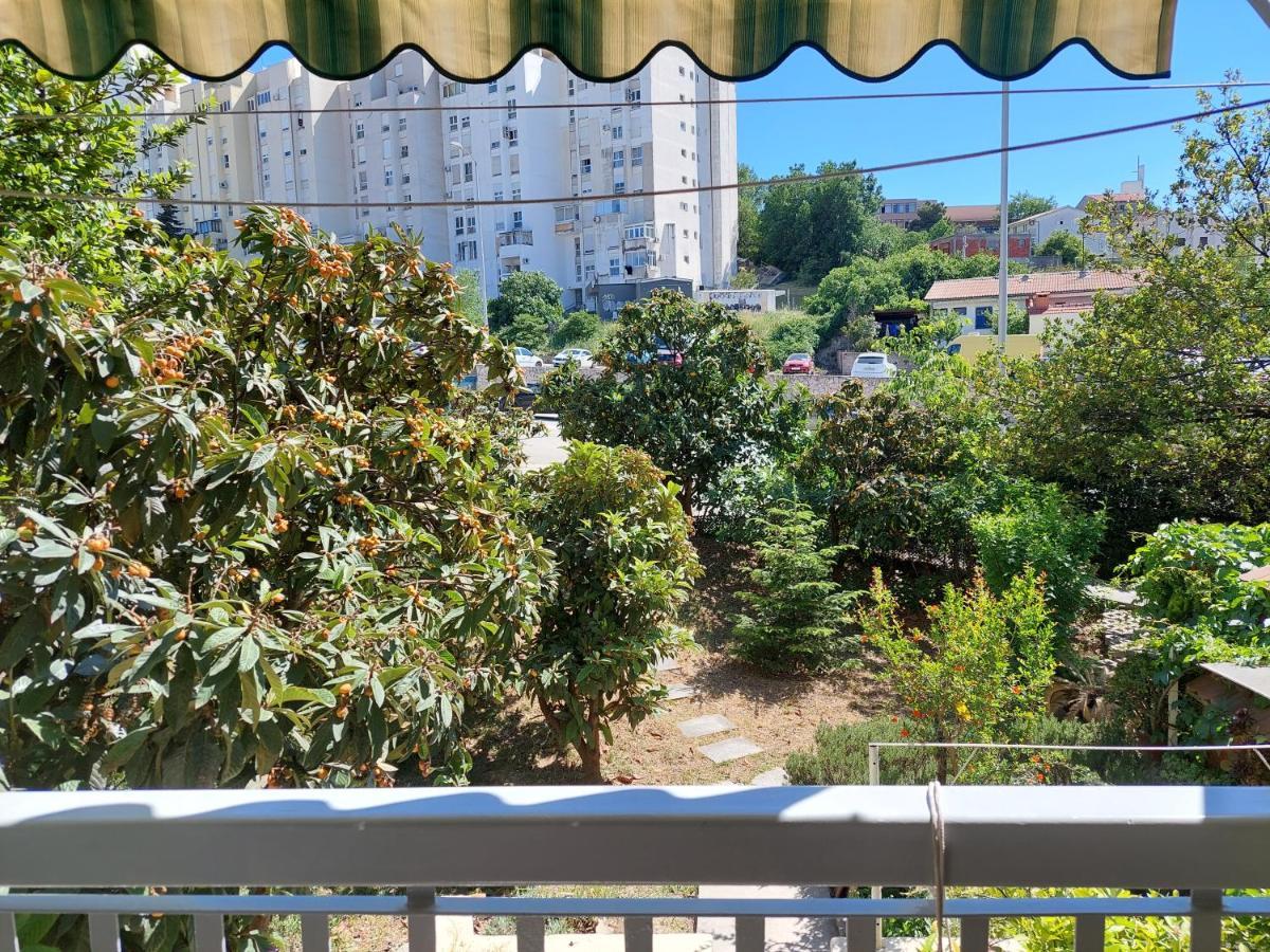 Buga Apartment *